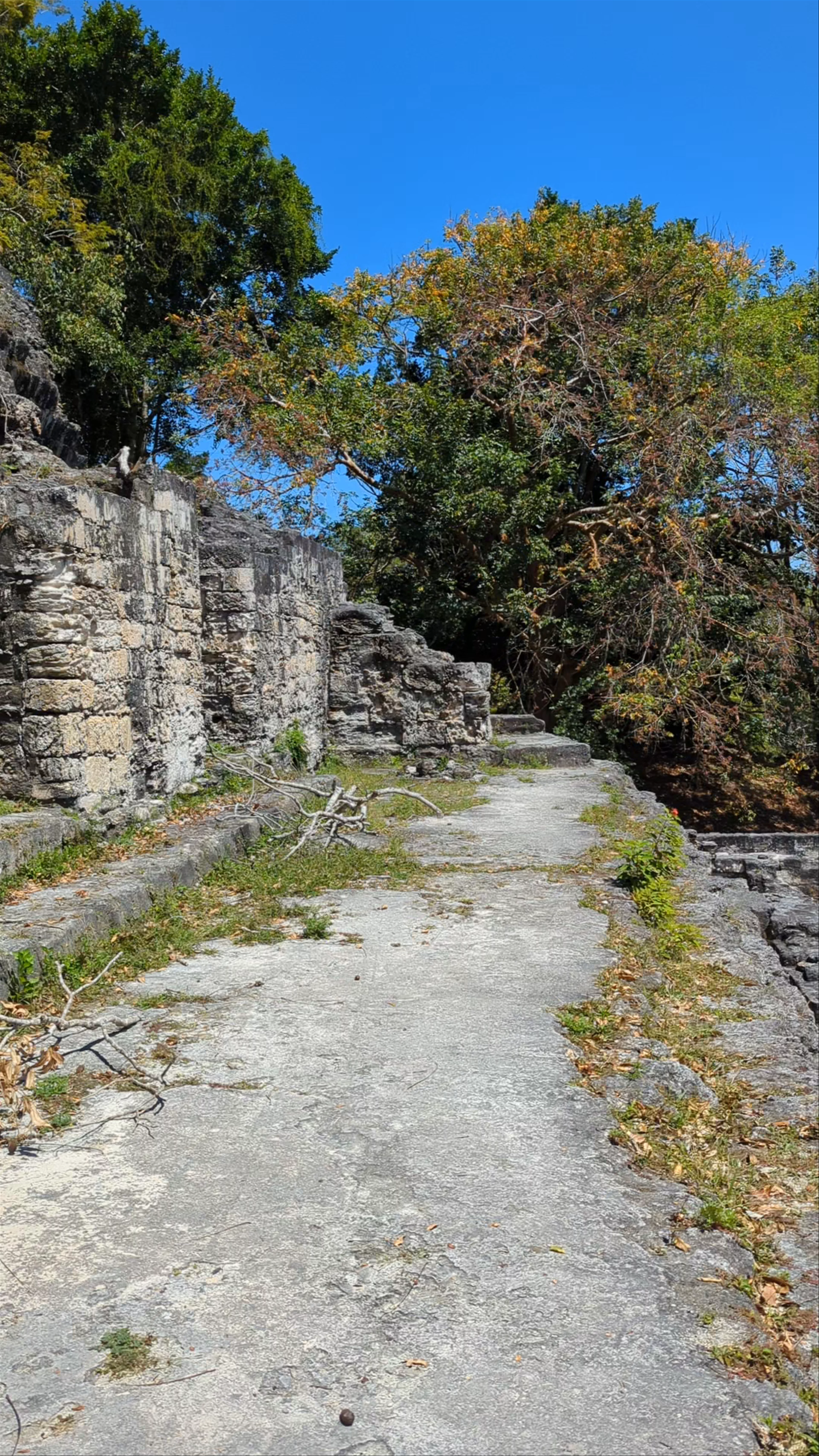 Parque Nacional Tikal