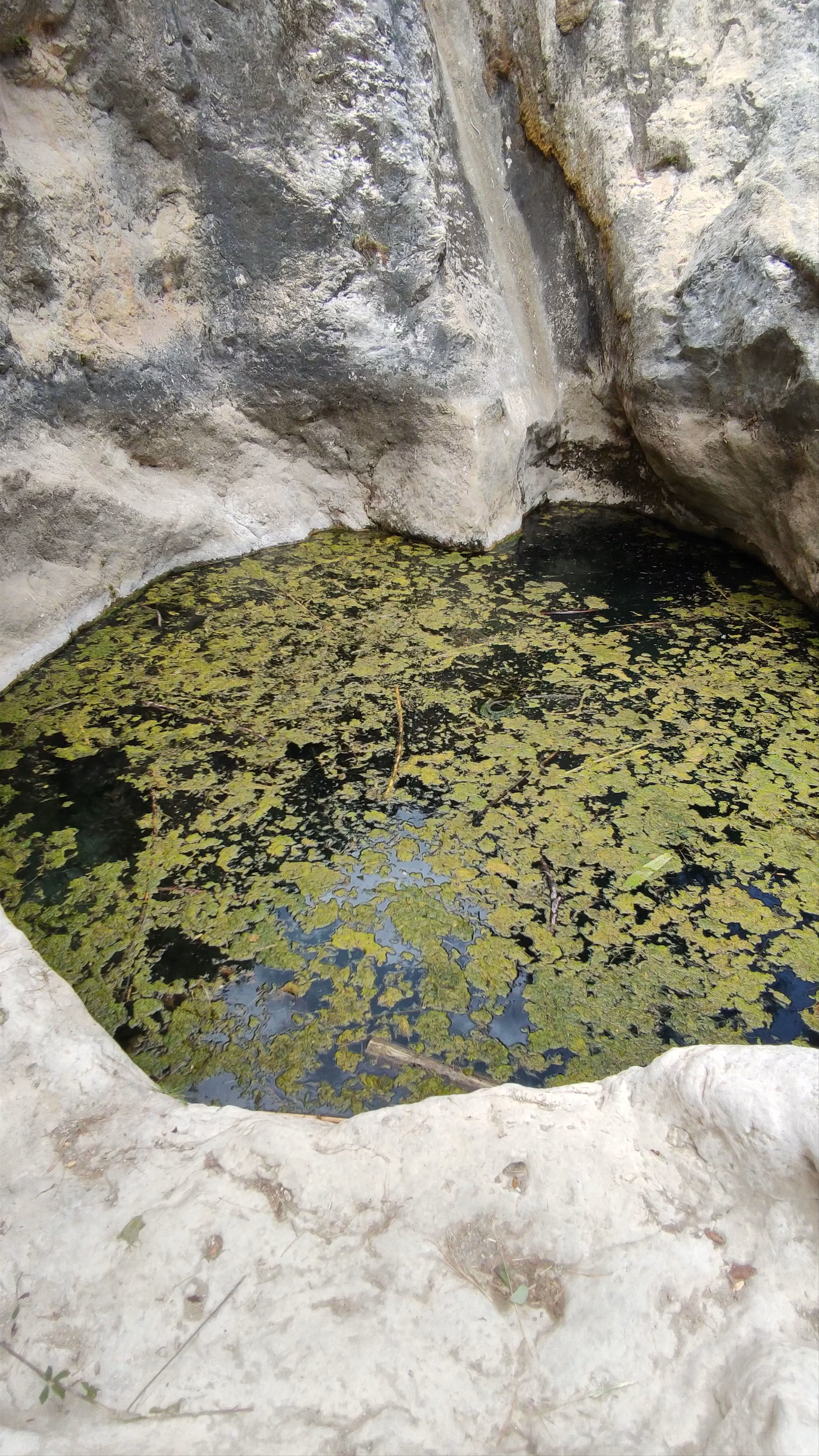 Baños del Somogil
