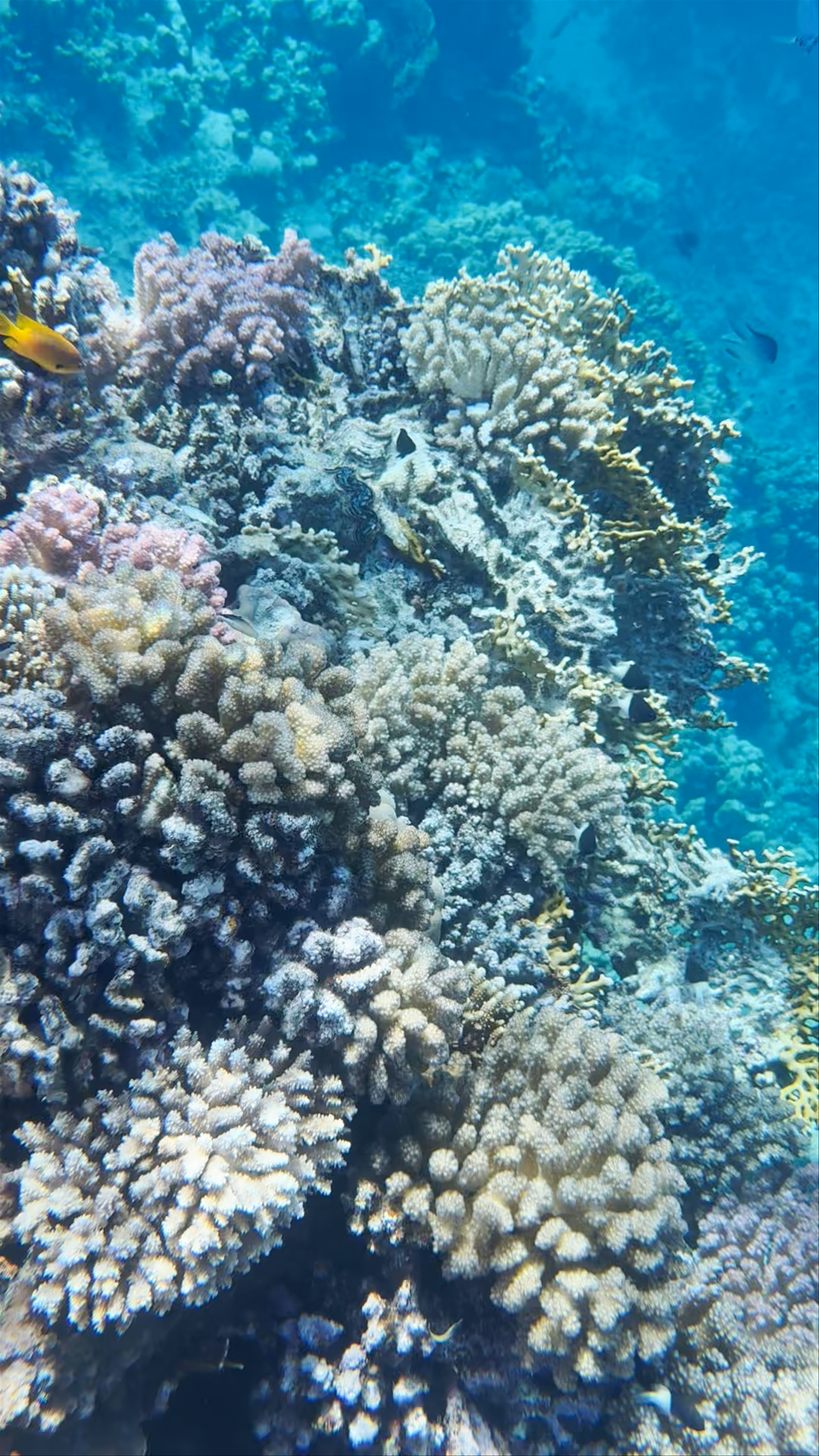 Abu Talha canyons system