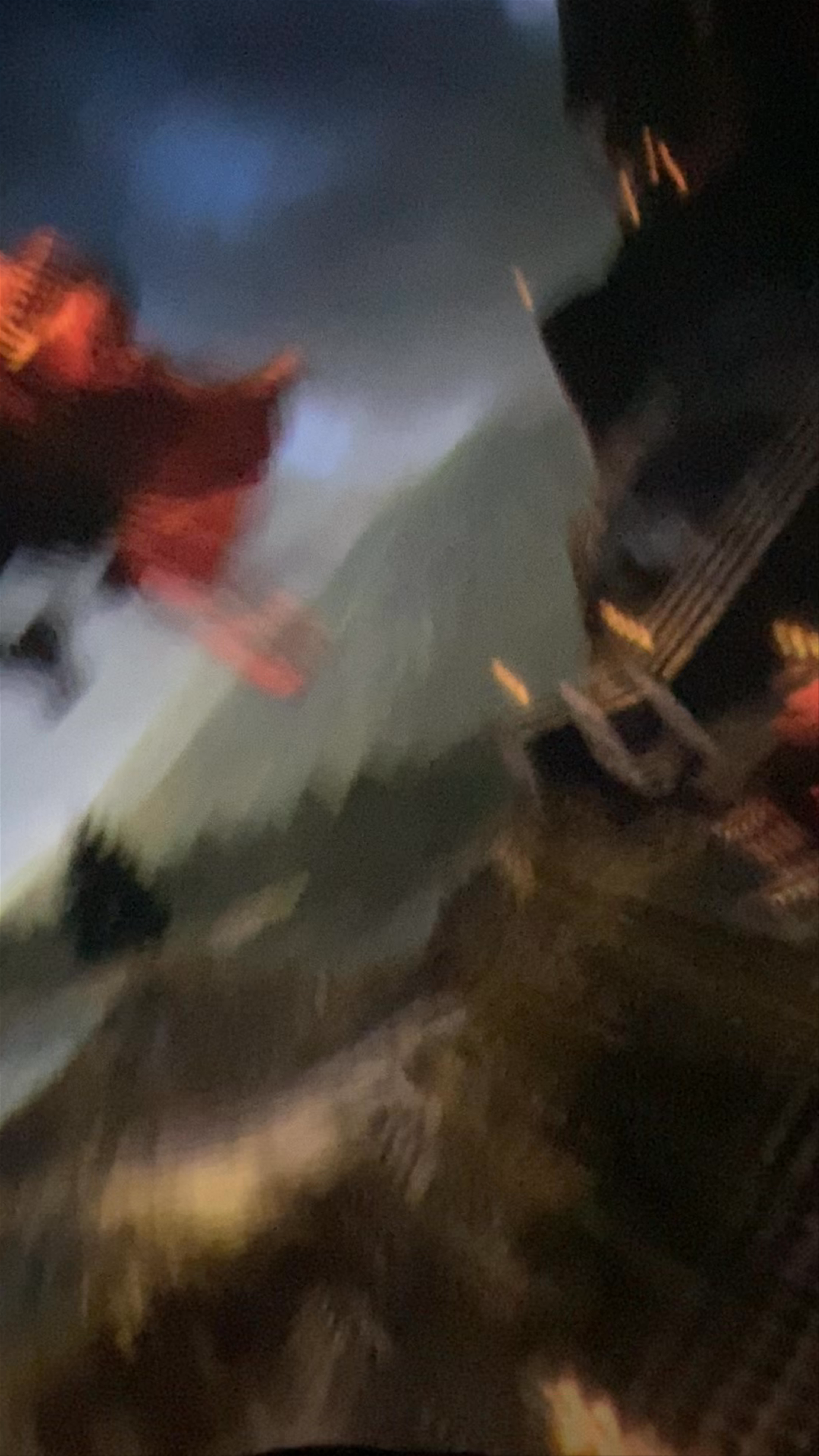 Harry Potter and the Forbidden Journey