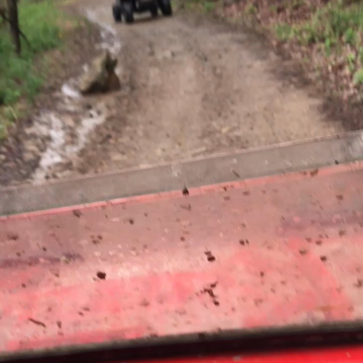 Hatfield McCoy Trails - Trail riding - Hiking Near Me - Lyburn, West Virginia