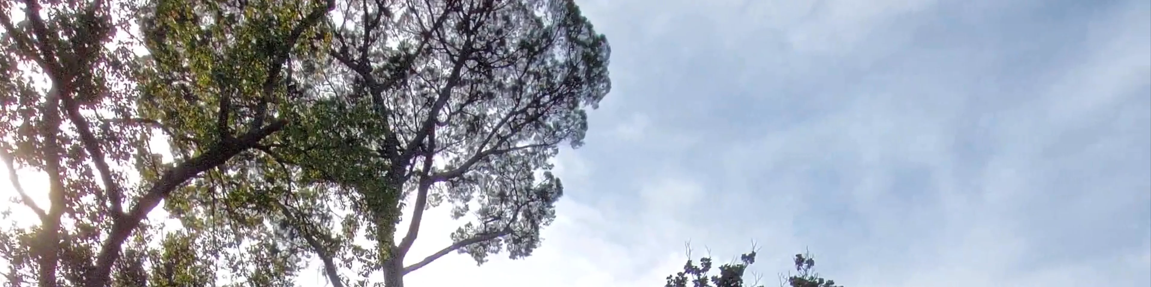 Villa Borghese