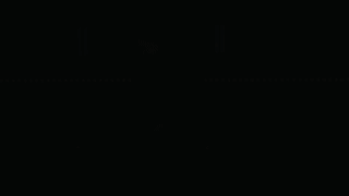 Habits for the Wise Heart