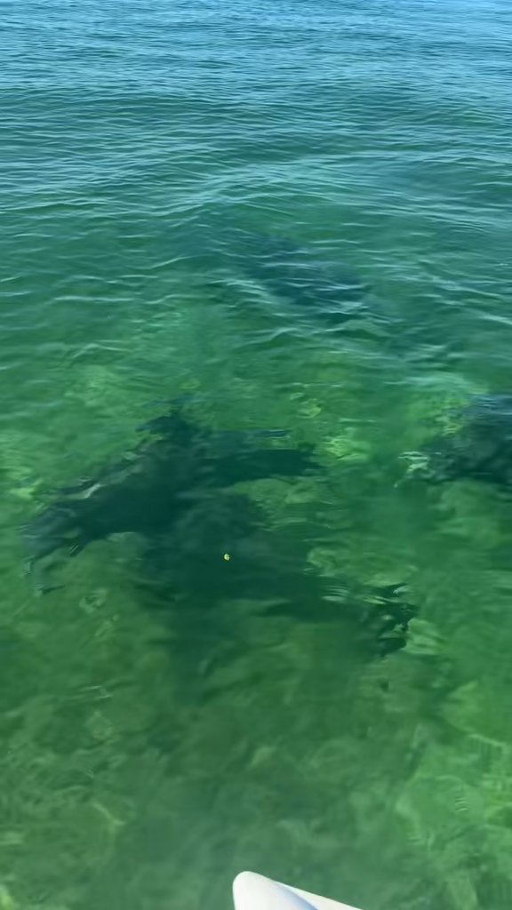 Lucky to call this our backyard 🤍