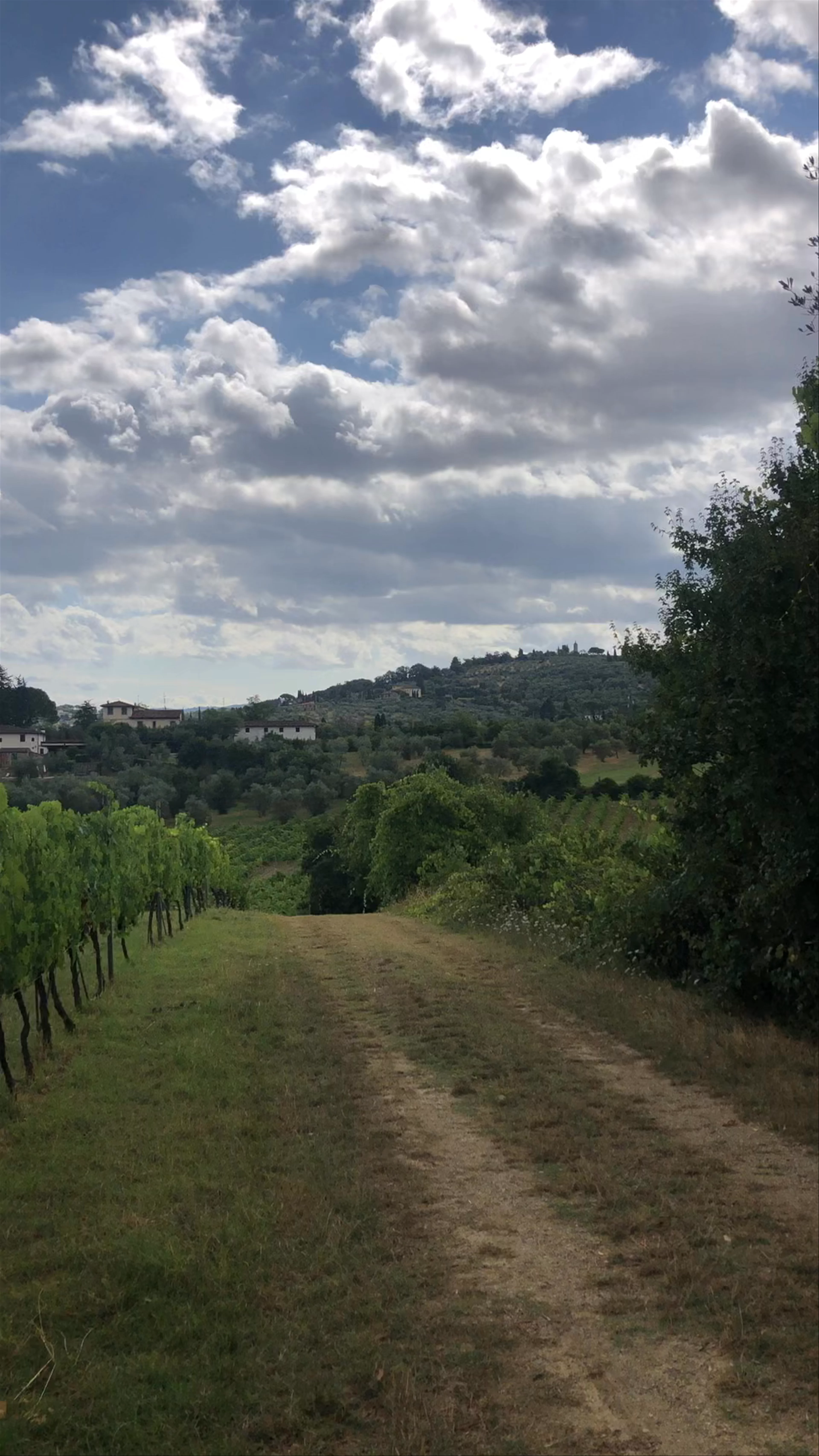 Via Vecchia Pozzolatico, Florence