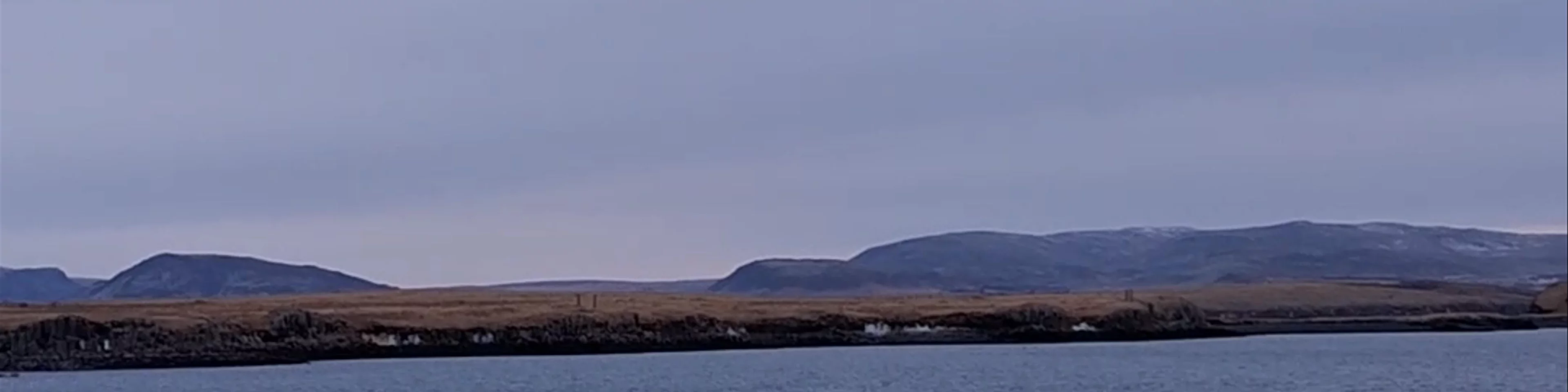 Artic Sea Tours Whale Watching