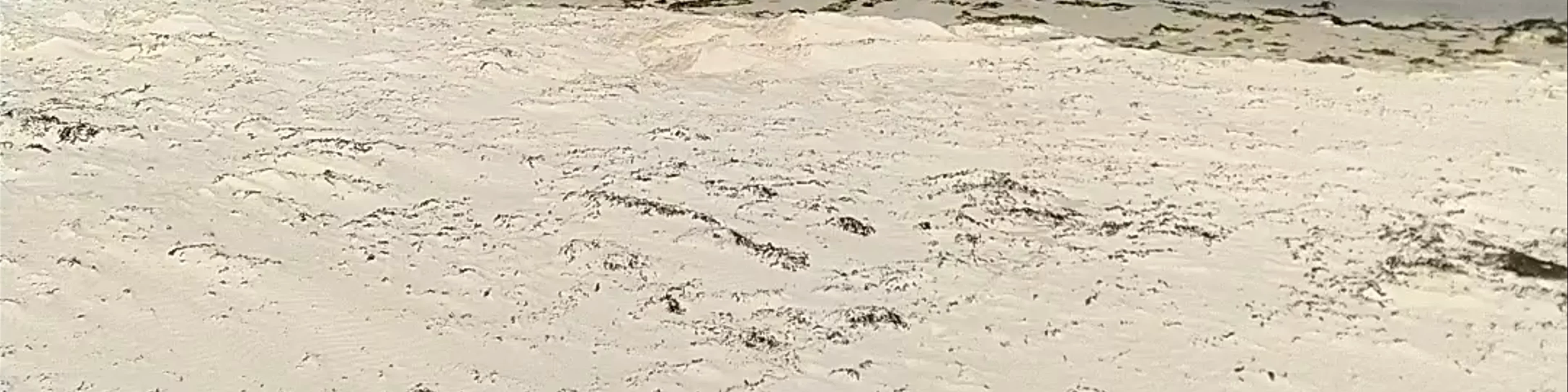 Brignogan-Plages