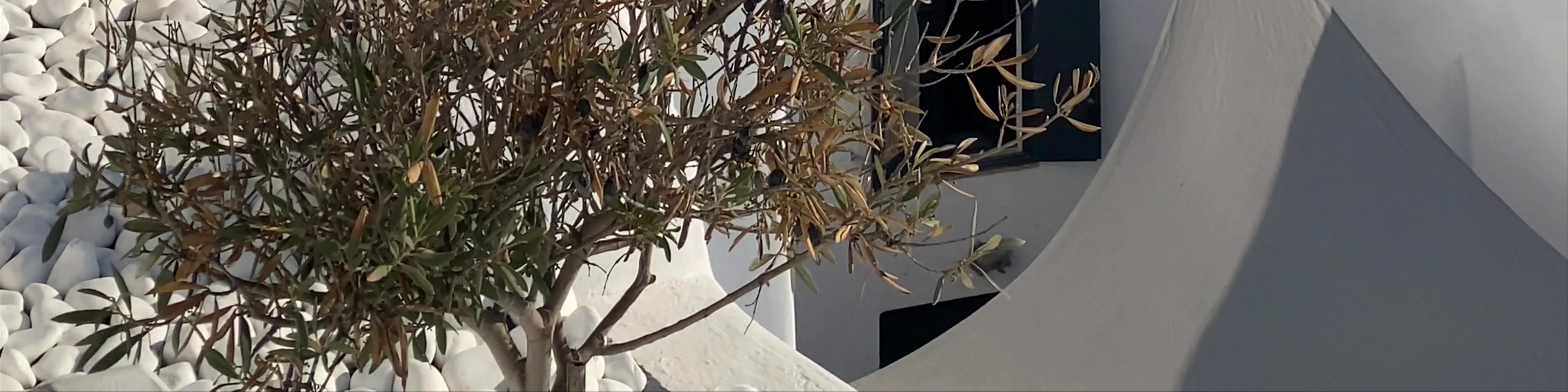 Pyrgos Kallistis