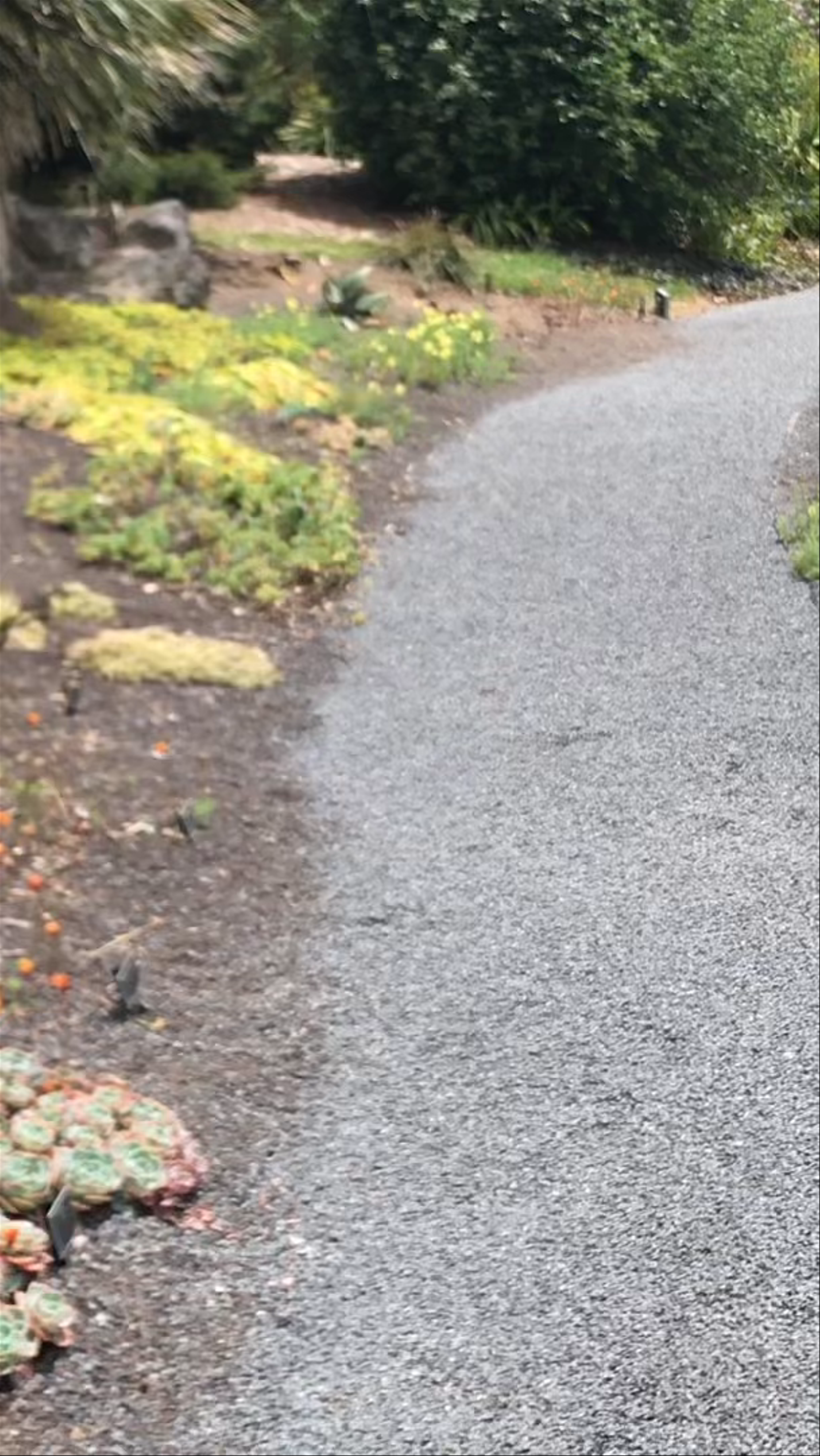 Auckland Botanic Gardens Hill Road