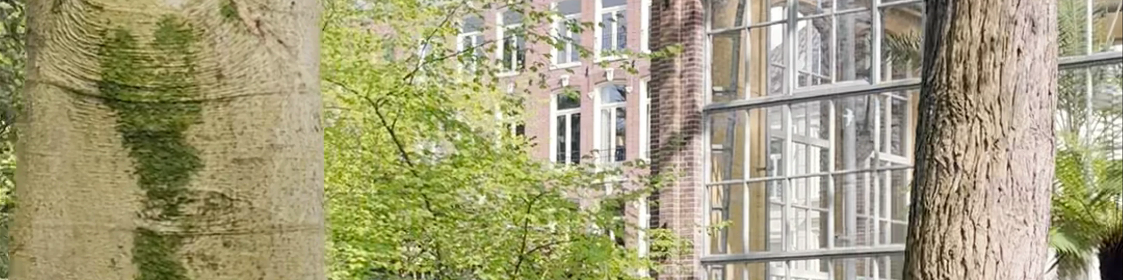 Hortus Botanicus Amsterdam