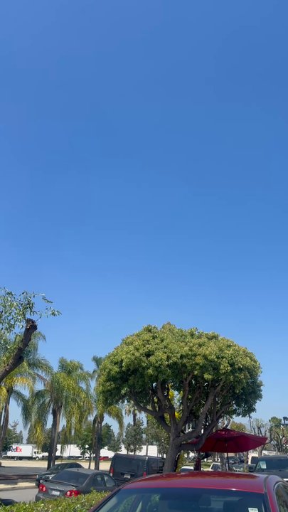 Royal Auto Dealer - Used Car Dealers Near Me - Montclair , California