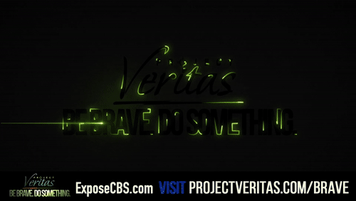 Video Thumbnail Loop