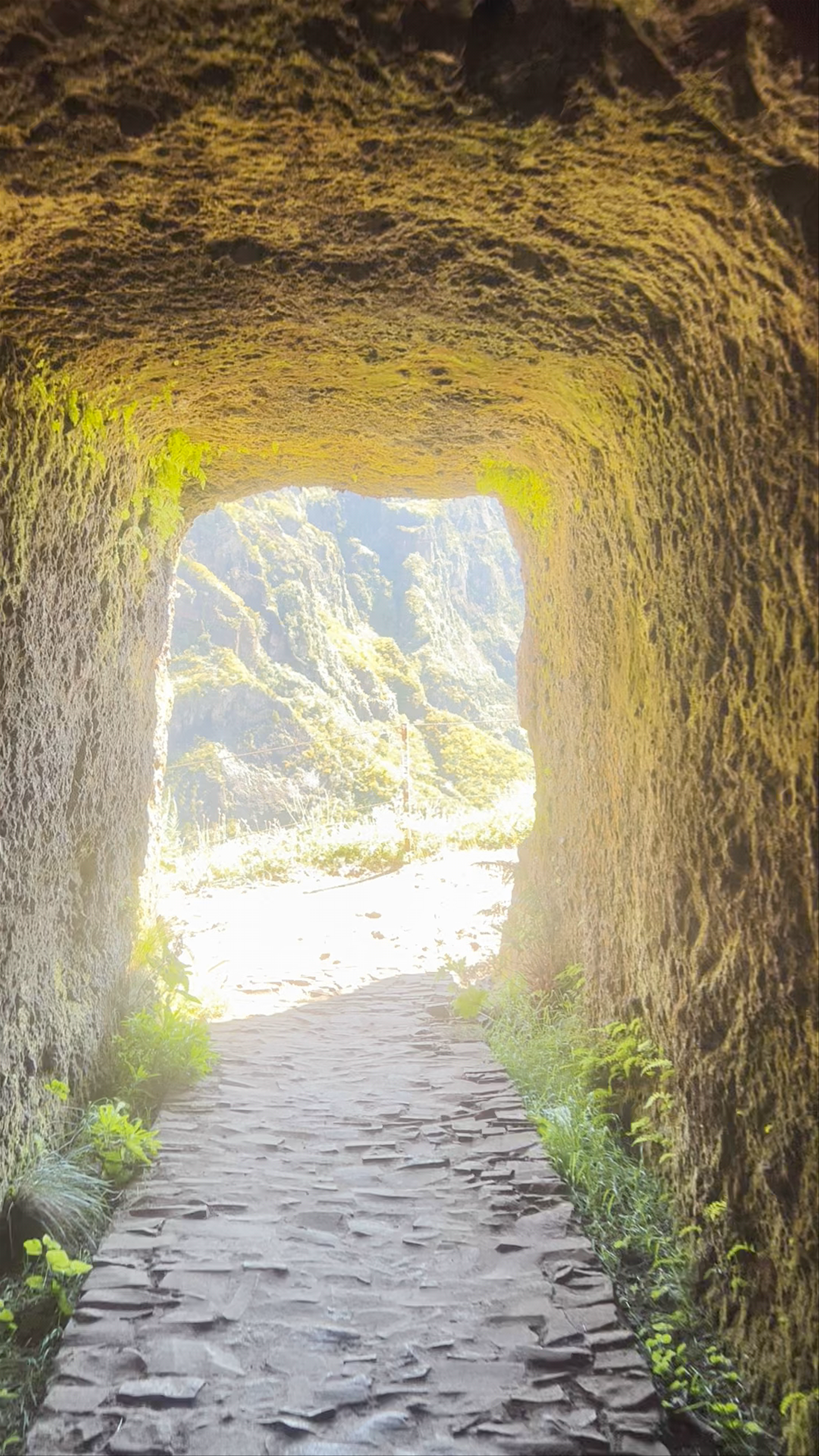 Túnel do Pico do Gato: A Mesmerizing Passage in Madeira's Wild Landscapes