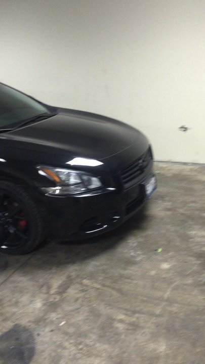 Unique Dips - Blacked out maxima by Unique Dips - Auto Customization Near Me - Hazel Crest, Illinois