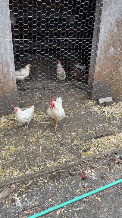 Hillview Farms - Fruits & Veggies Near Me - Gillette, New Jersey