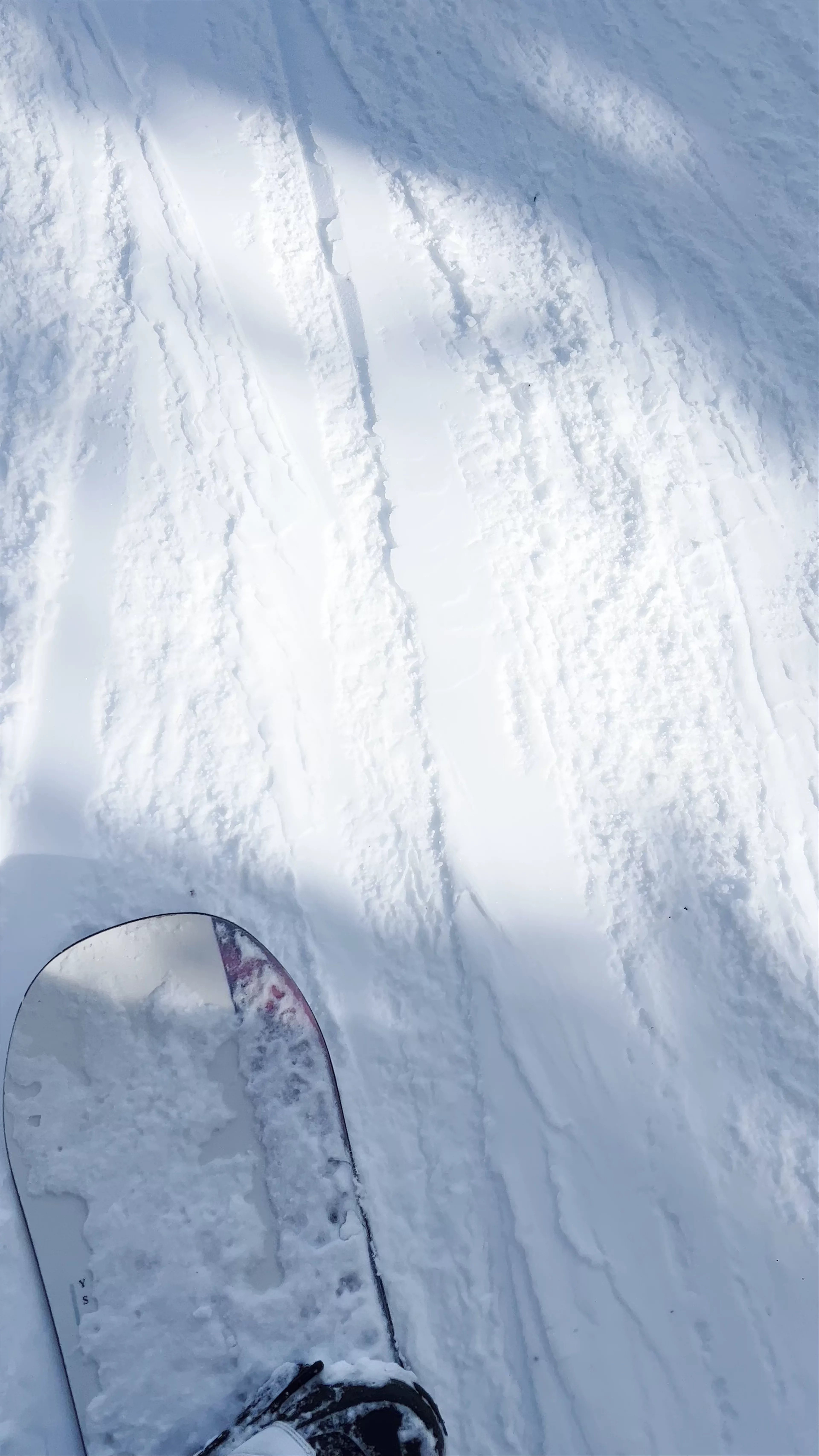 Jackson Hole Mountain Resort, Cody Lane, Teton Village, WY, USA