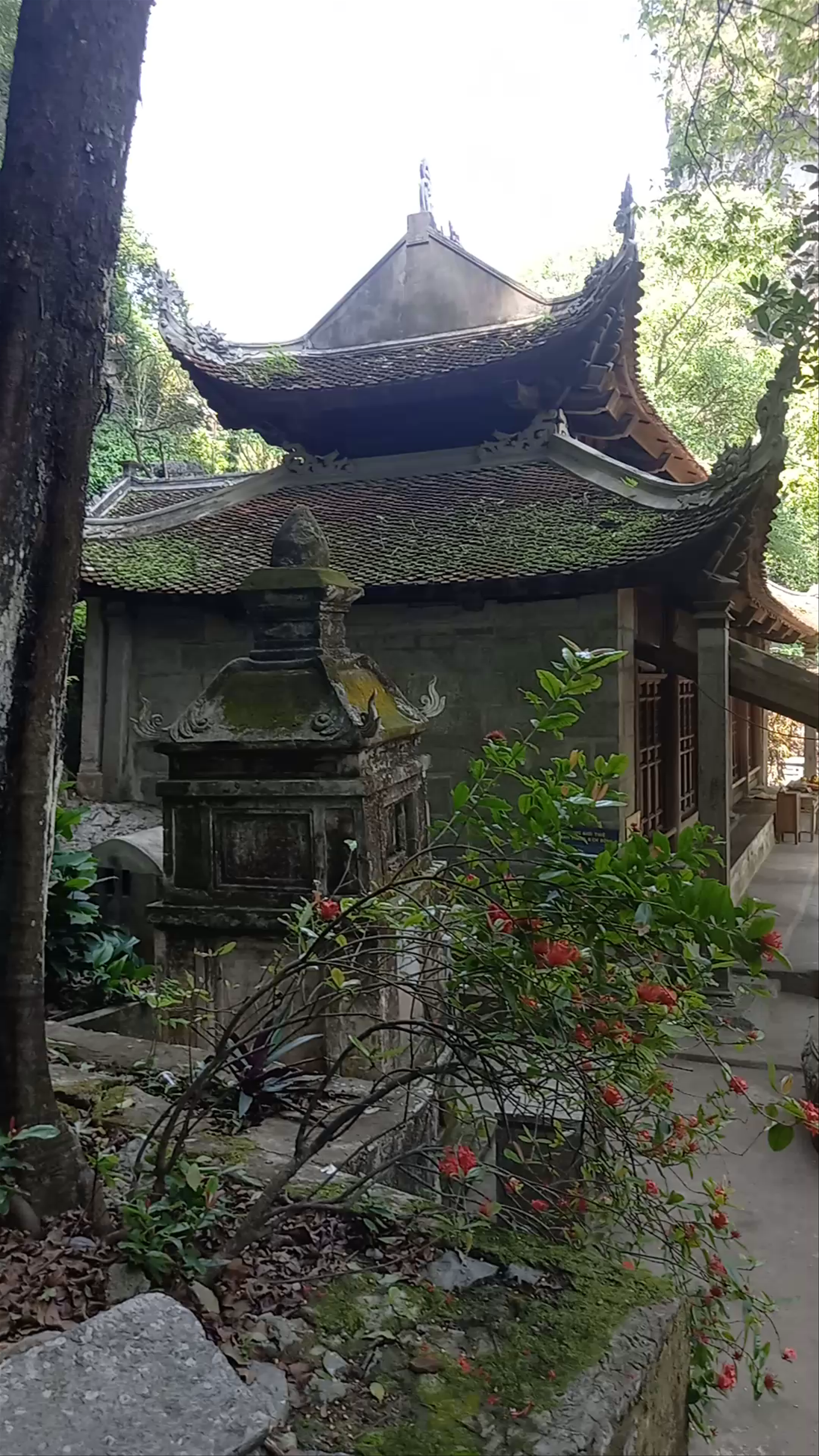 Đầm sen Bích Động