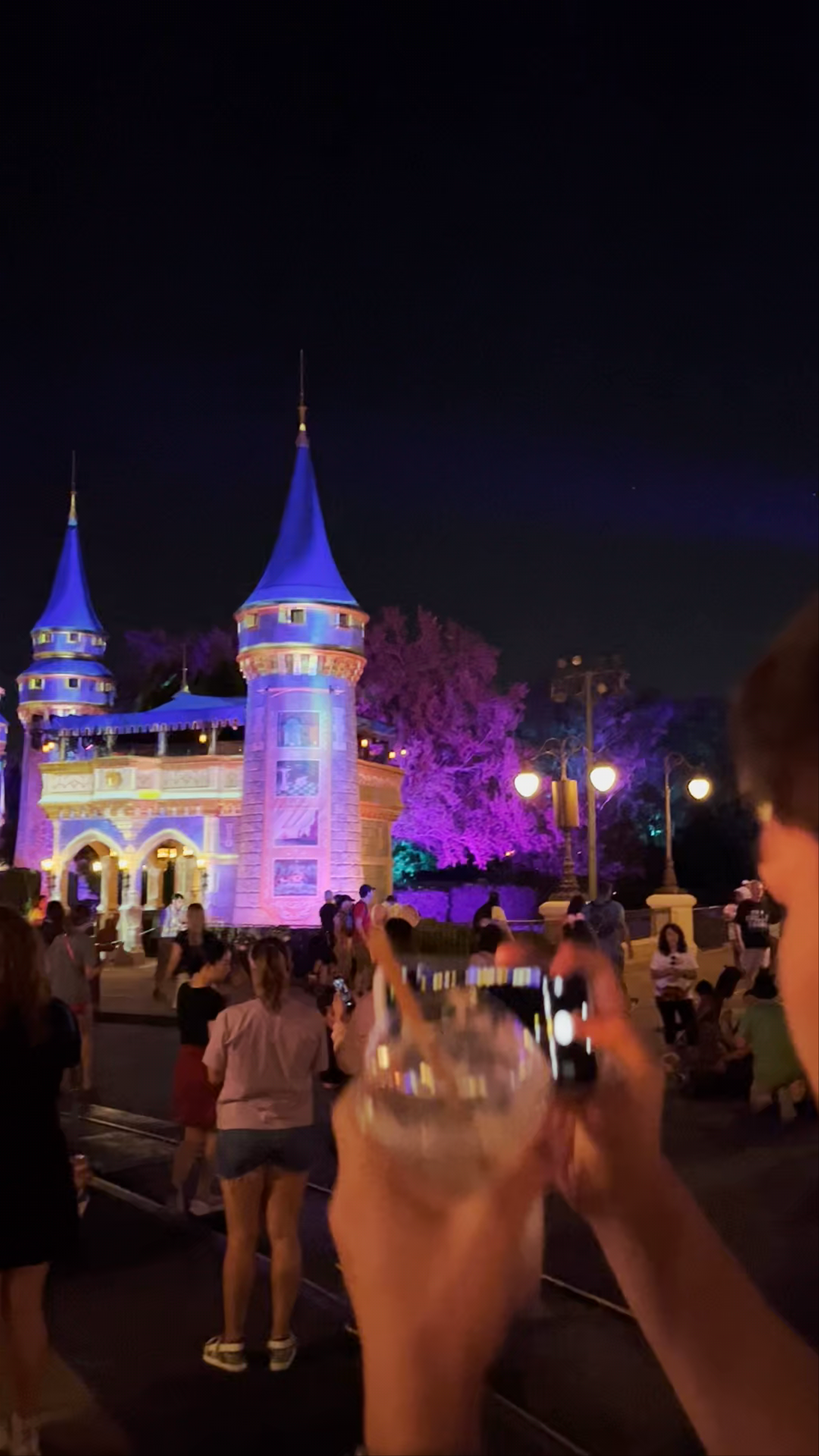 Magical Night at Cinderella Castle in Orlando