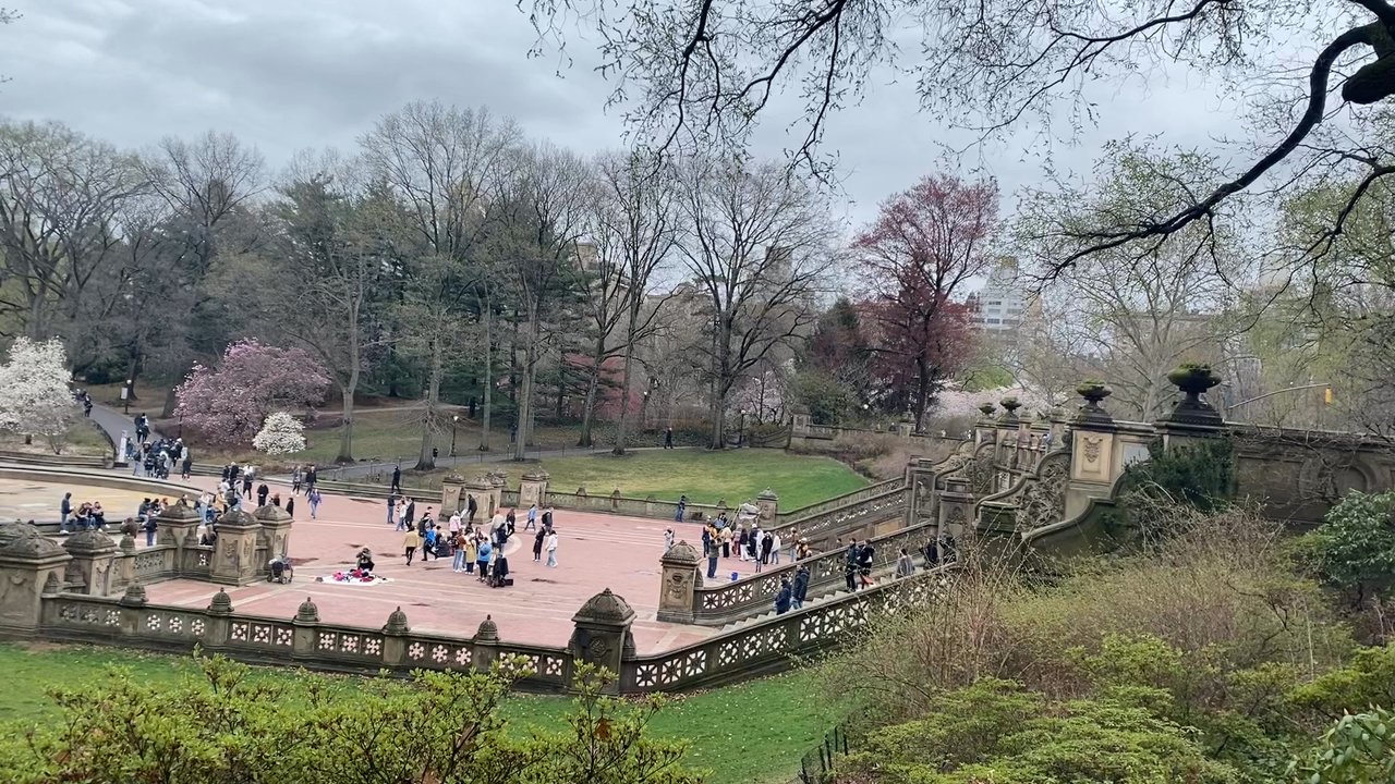 Central Park Conservancy - Video of Central Park in April - Parks Near Me - New York, New York