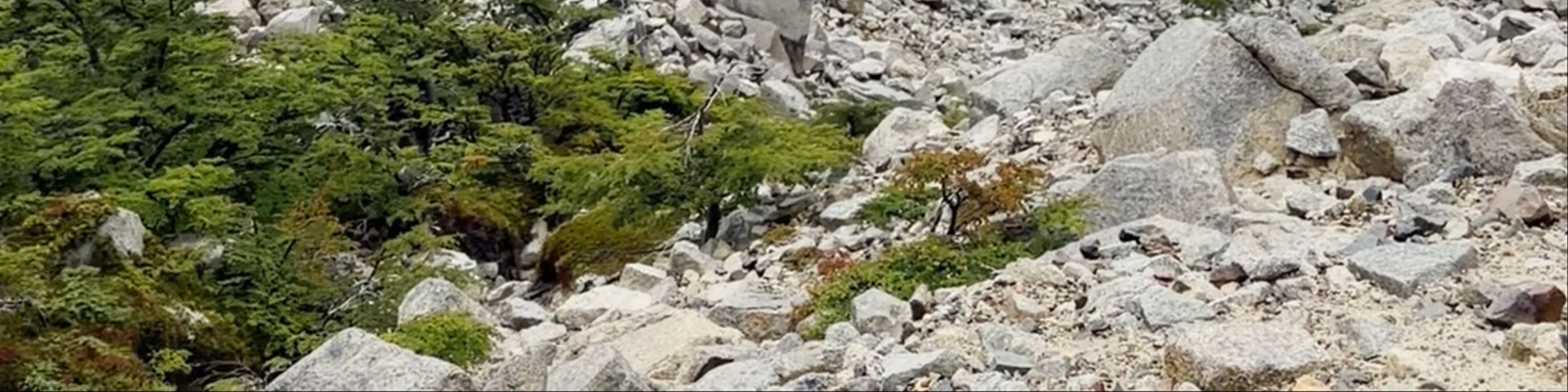 Parque Nacional Torres del Paine