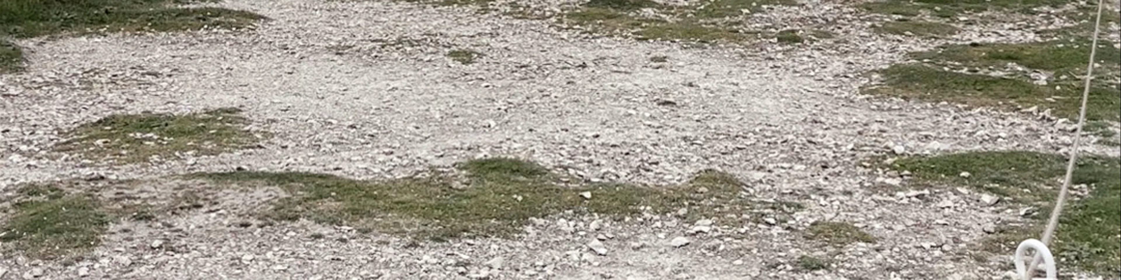 Birling Gap and the Seven Sisters Car Park