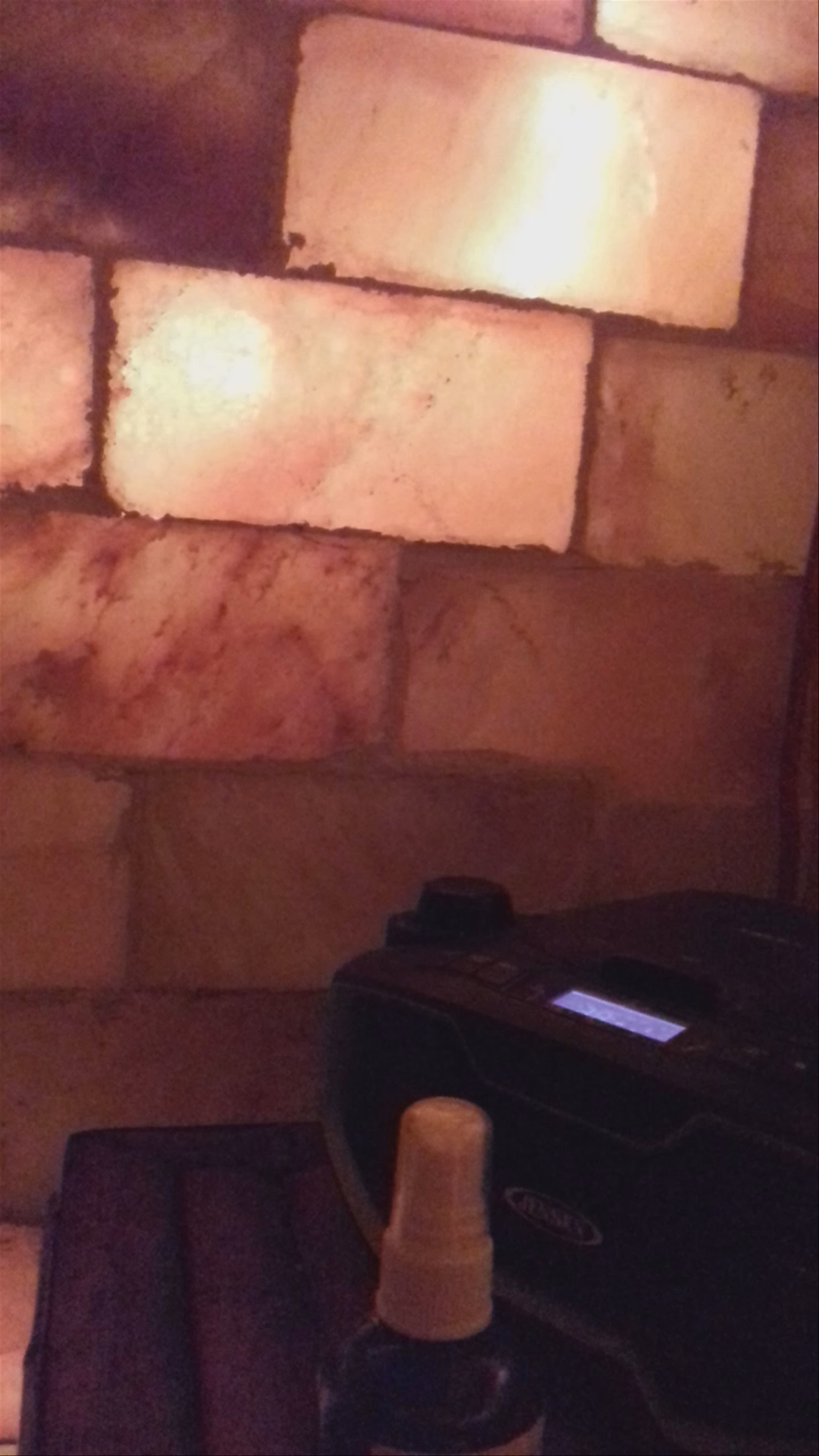 Salt Room at Mondazzi Books