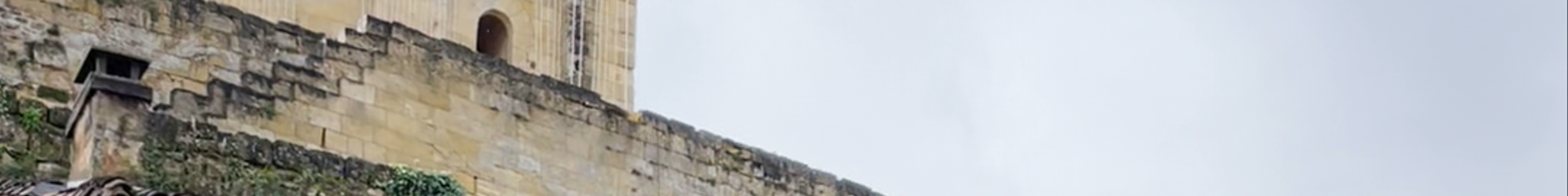 Tours & experiences in Saint-Émilion