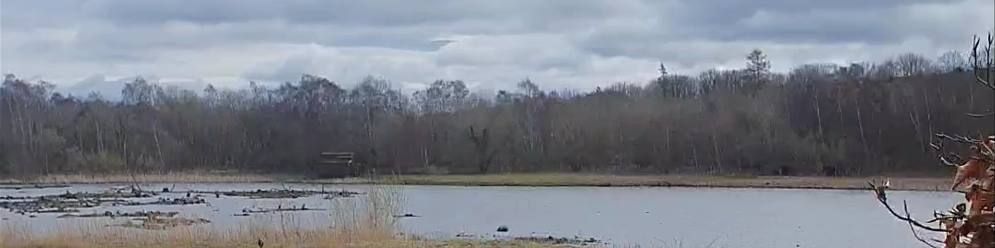 Low Barns Nature Reserve and Visitor Centre