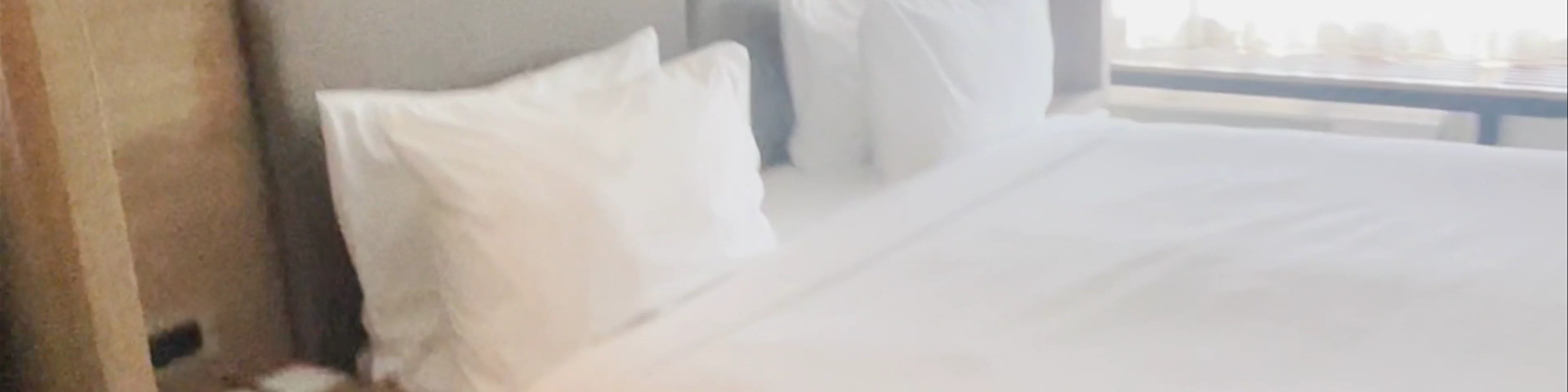TownePlace Suites by Marriott Charleston-North Charleston
