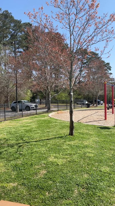 Alexander Park - Play area 5-12 years of age - Disc Golf Near Me - Lawrenceville, Georgia
