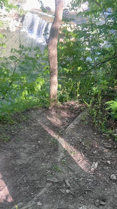 Cataract Falls State Recreation Area - Hiking Near Me
