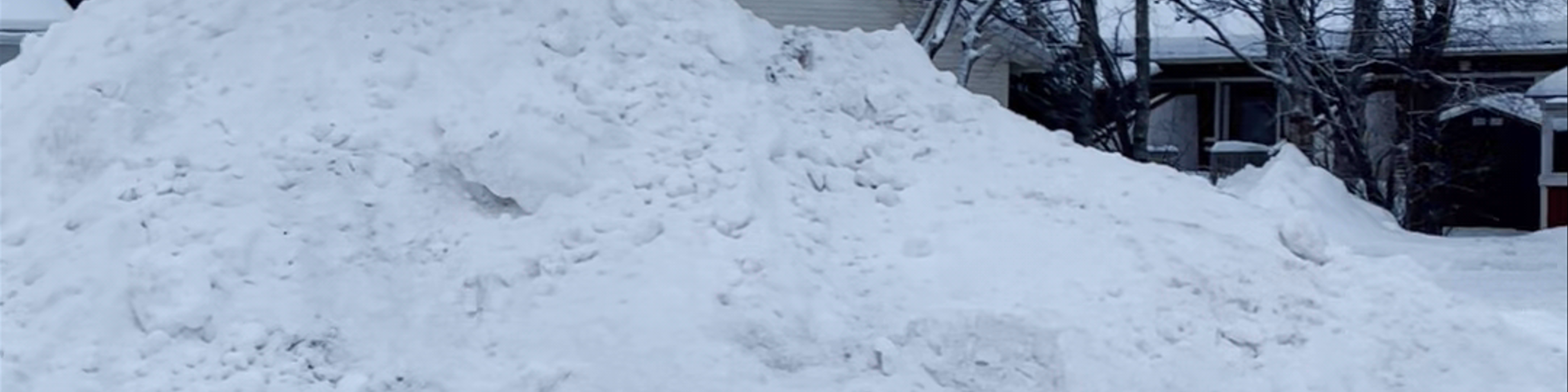 Finland