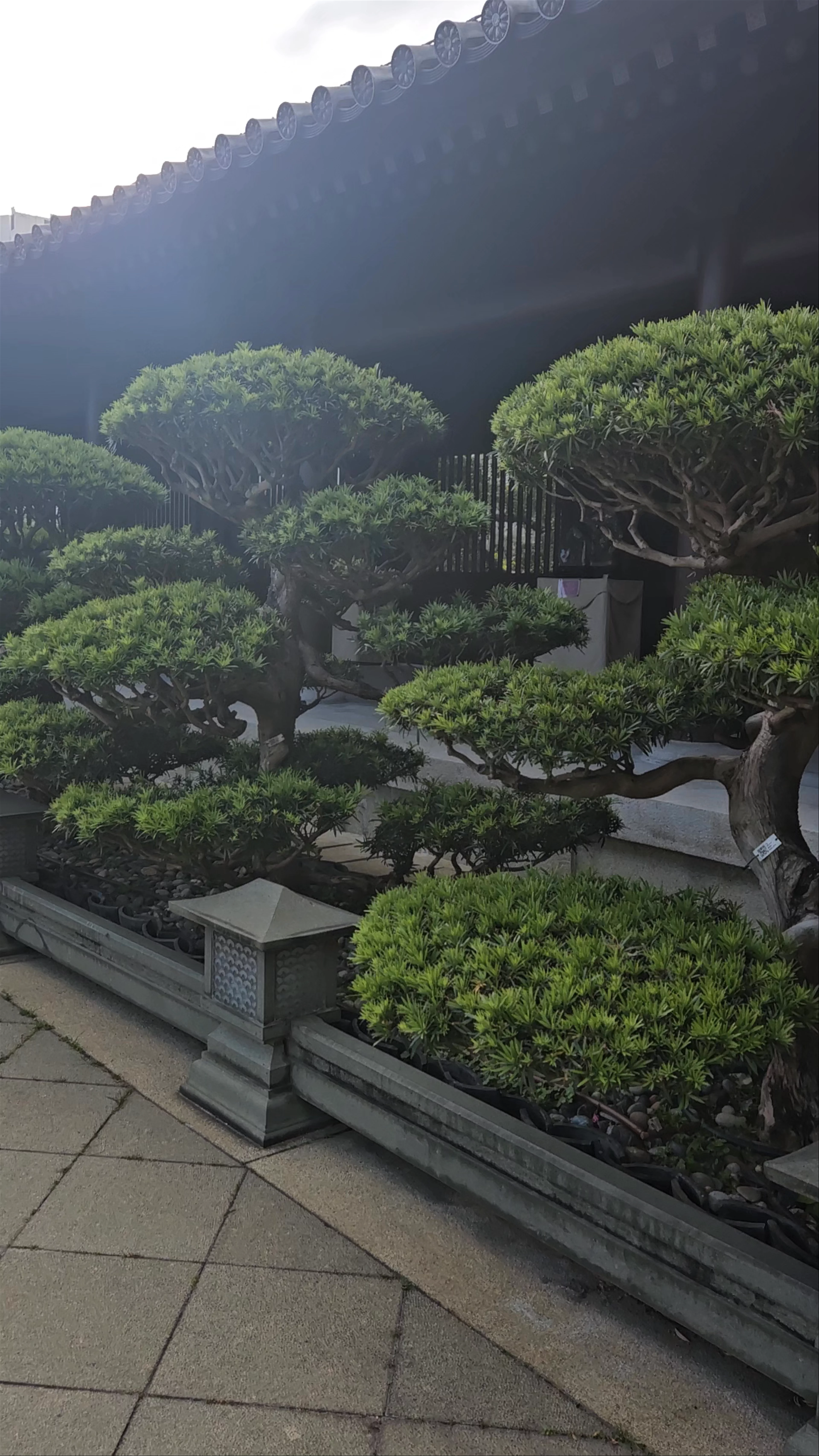Chi Lin Nunnery