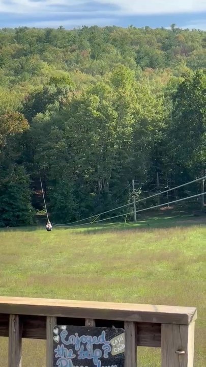 Bear Mountain Ziplines - Zipline Experts - Ziplining Near Me - Luray, Virginia