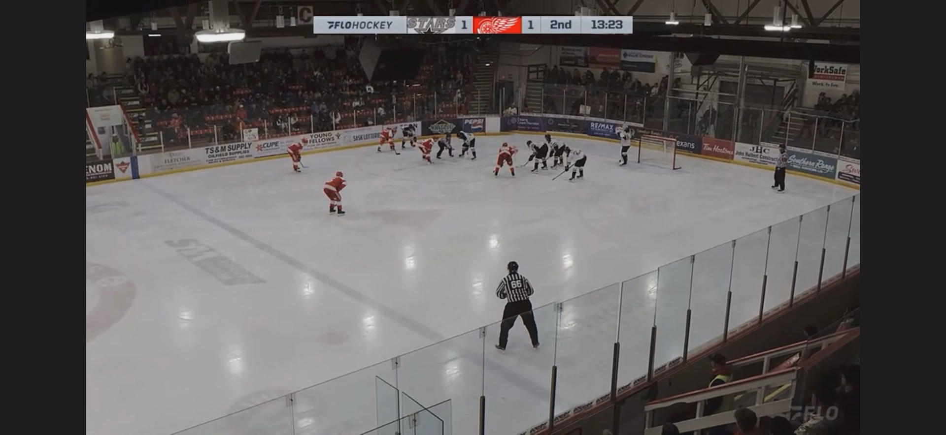 Chad Lebeau's Jaw-Dropping Goals with Redwings