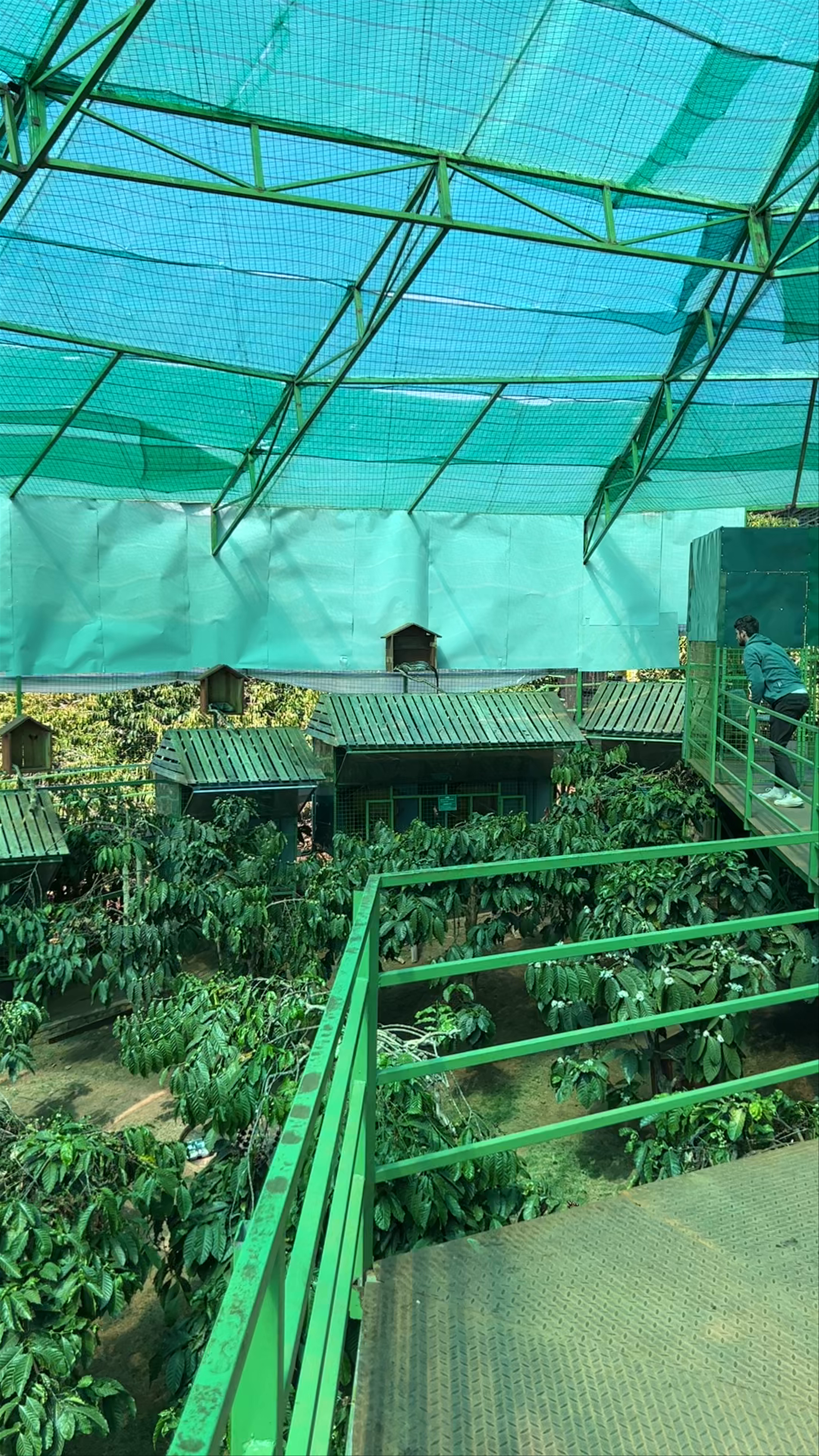 Me Linh Coffee Garden