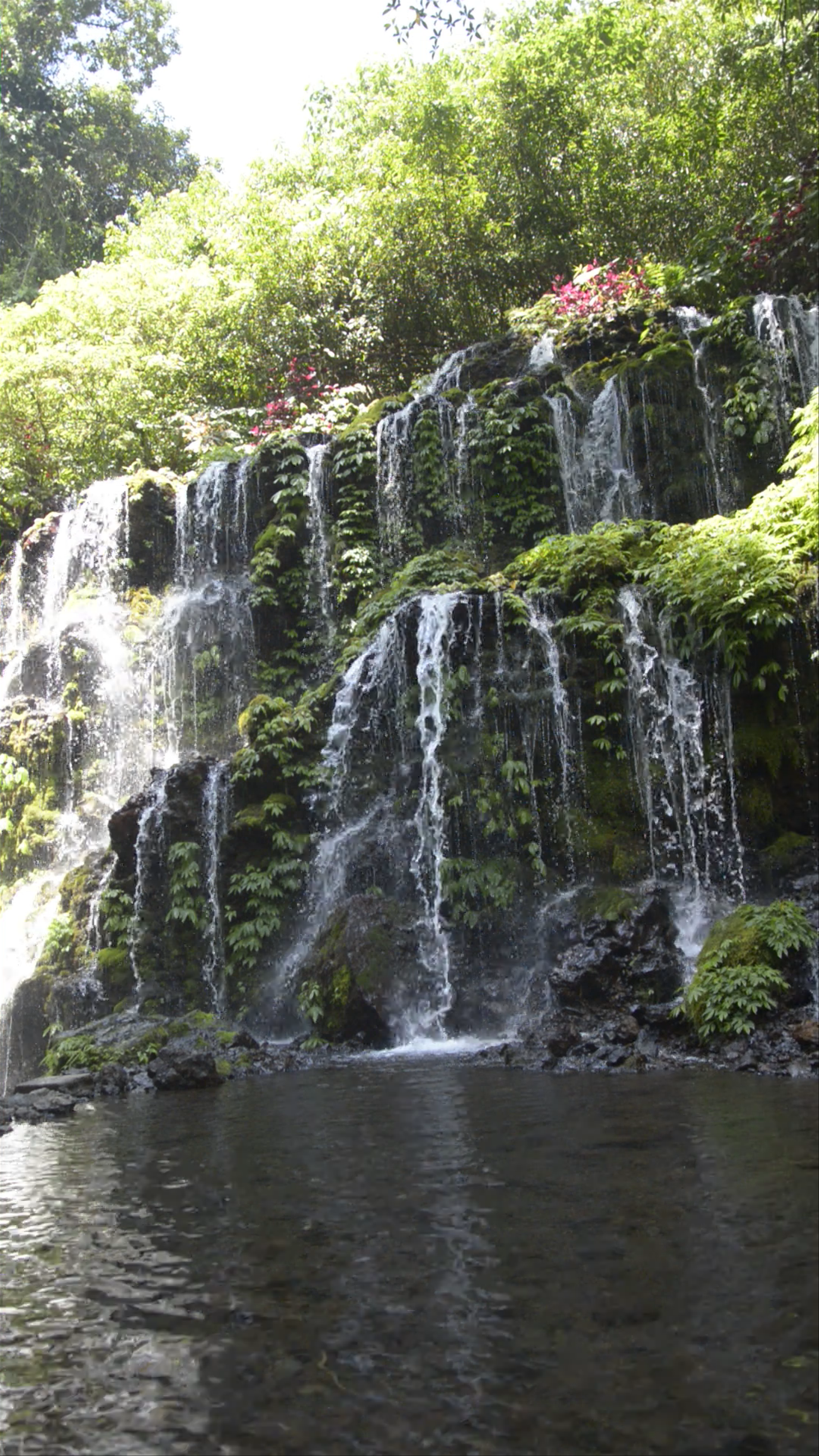 Banyu Wana Amertha Waterfall: A Serene Tropical Escape in Bali