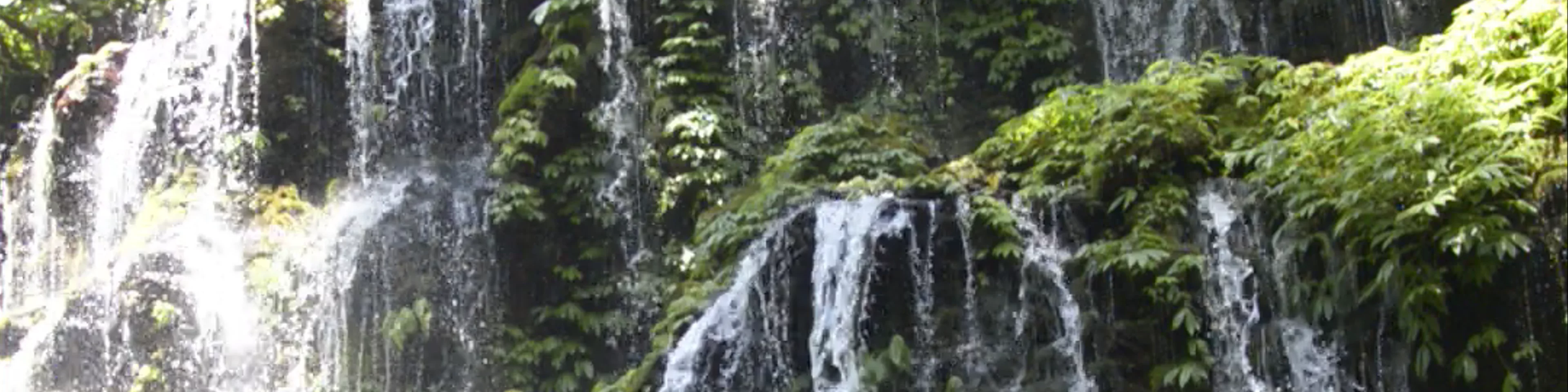 Banyu Wana Amertha Waterfall