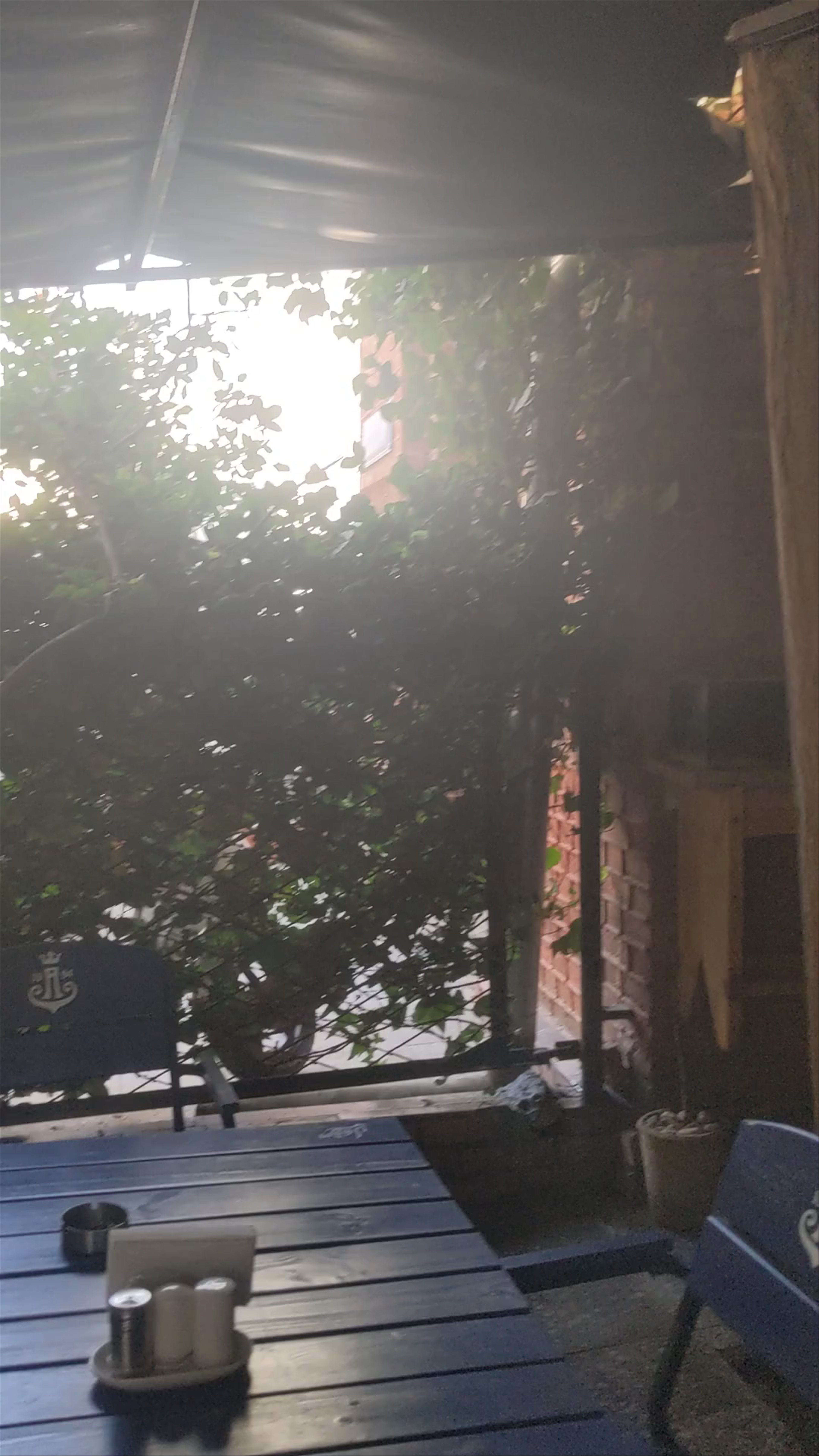 Asi Khinkali
