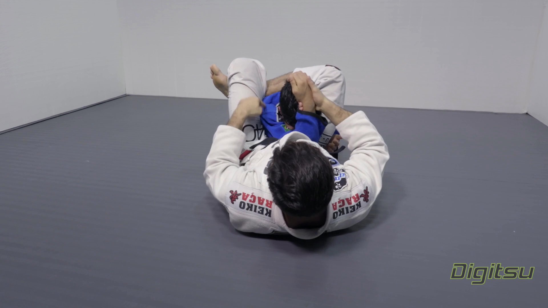 Triangle And Shoulder Locks