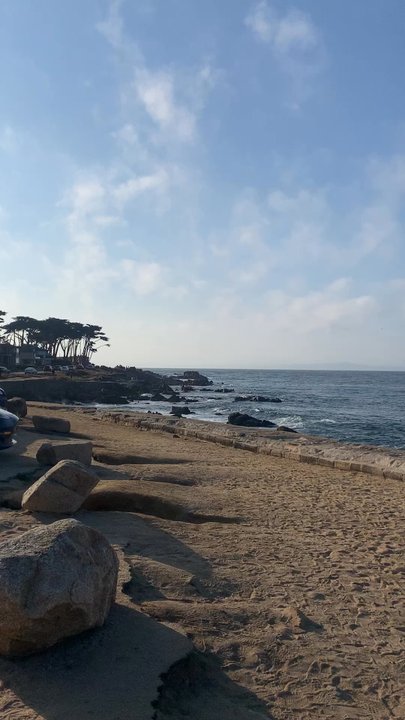 Otter Cove - Beaches Near Me - Pacific Grove, California