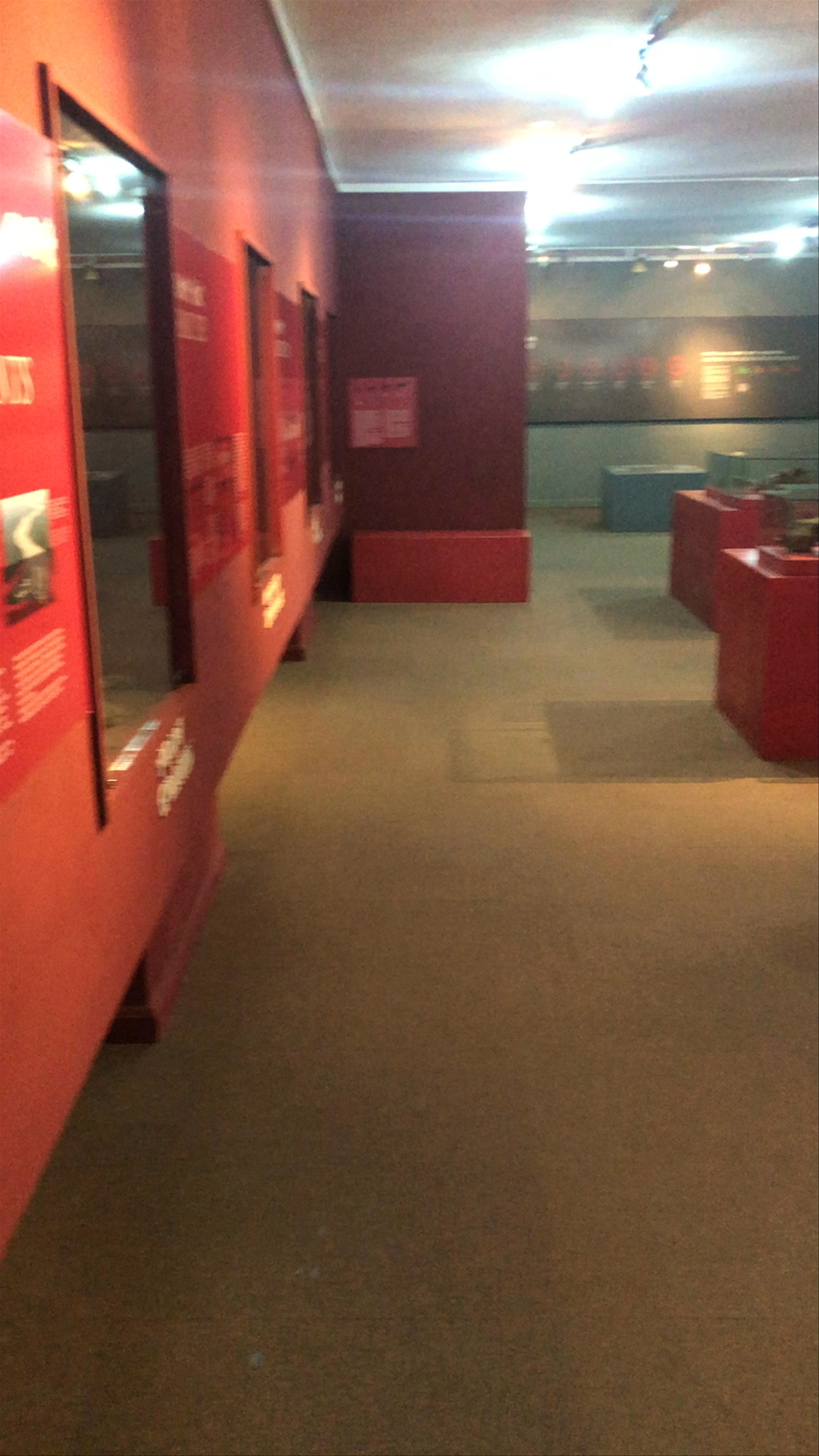 National Museum of Ethiopia