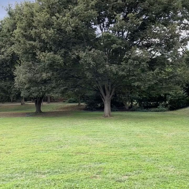 Rosedale Conservancy - Dog Parks Near Me - Washington, DC, District of Columbia