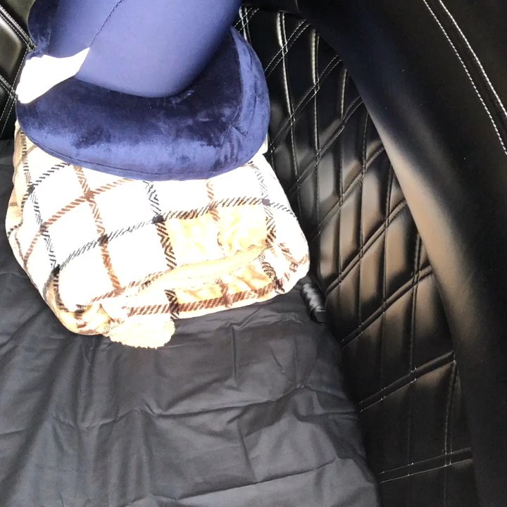 Lux Dryve - The inside of the Executive Sprinter on a trip - Limos Near Me - Chicago, Illinois