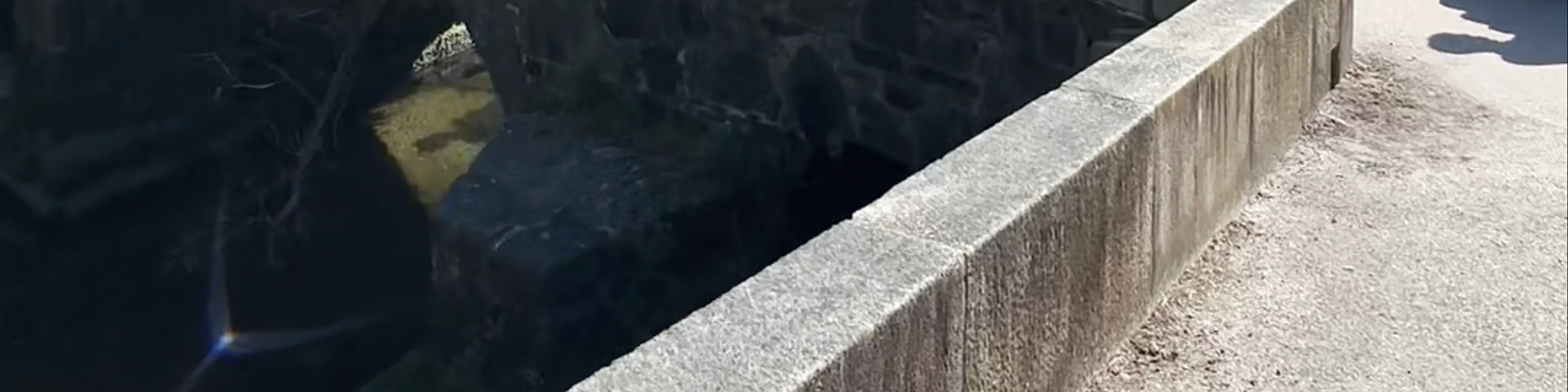 Ponte Vella de Arriba