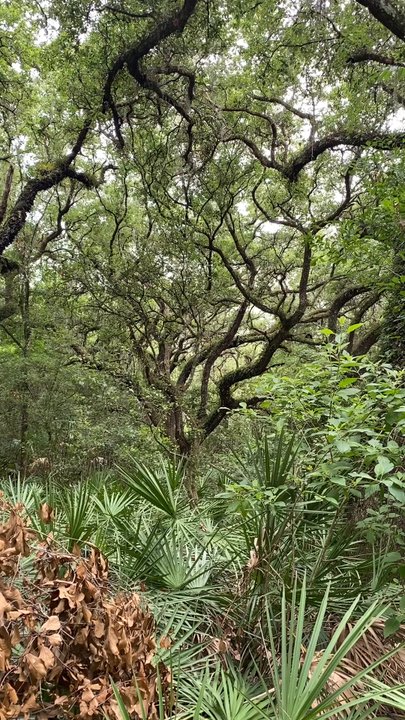 Withlacoochee State Trail - Hiking Near Me - Inverness, Florida