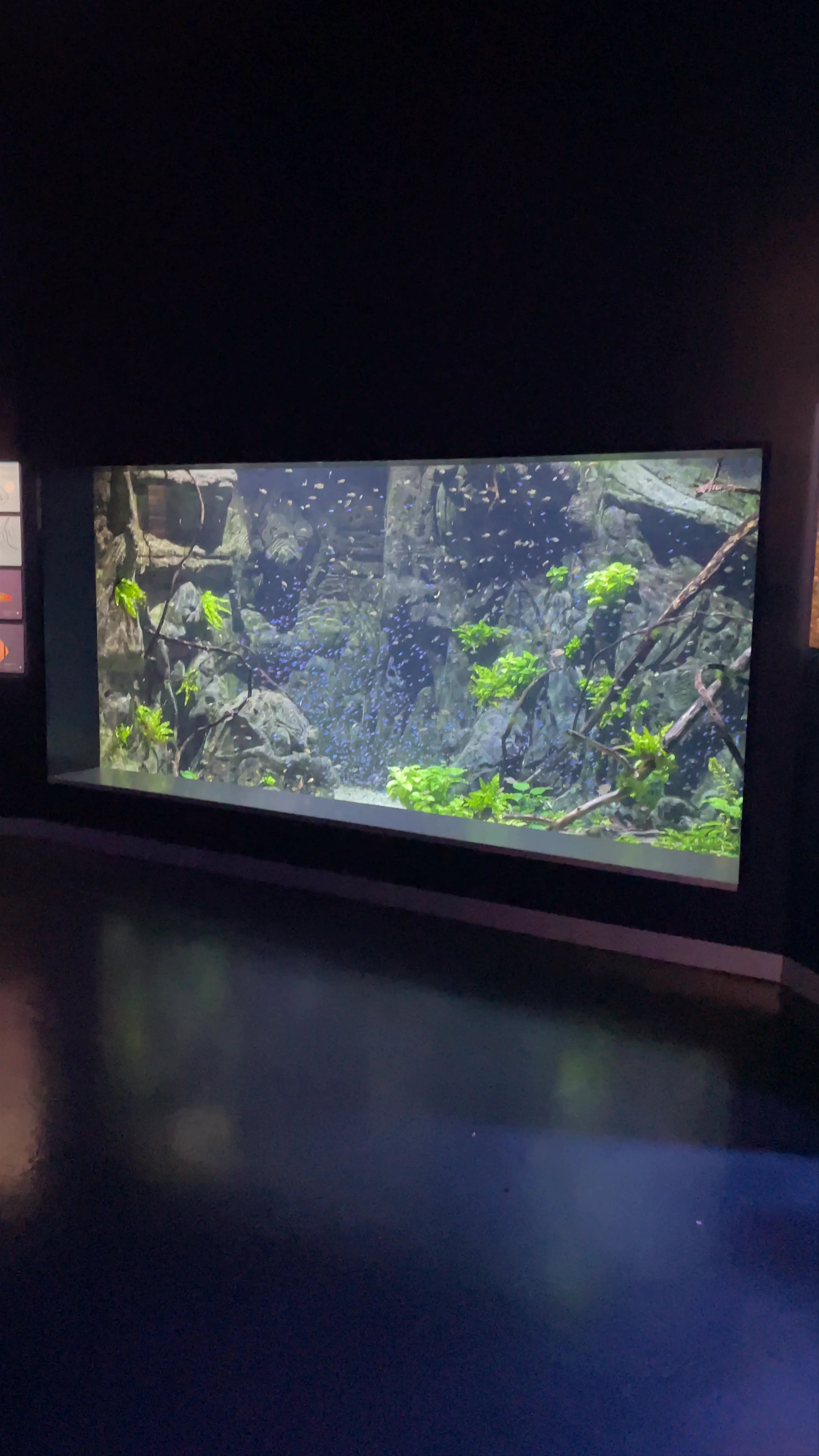 Atlantis Aquarium Madrid