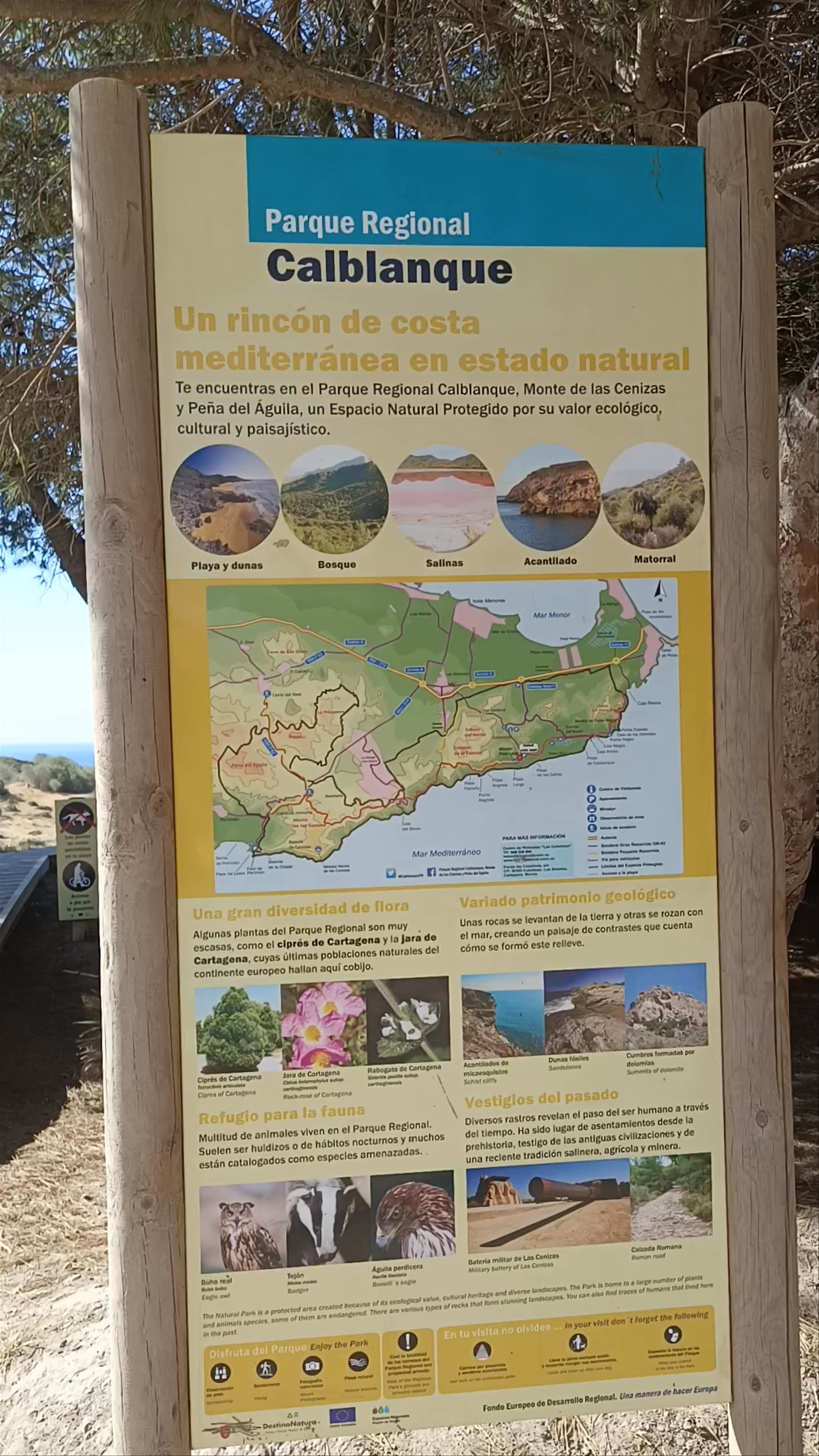 Parque Regional de Calblanque: Mediterranean Coastal Nature in Murcia, Spain