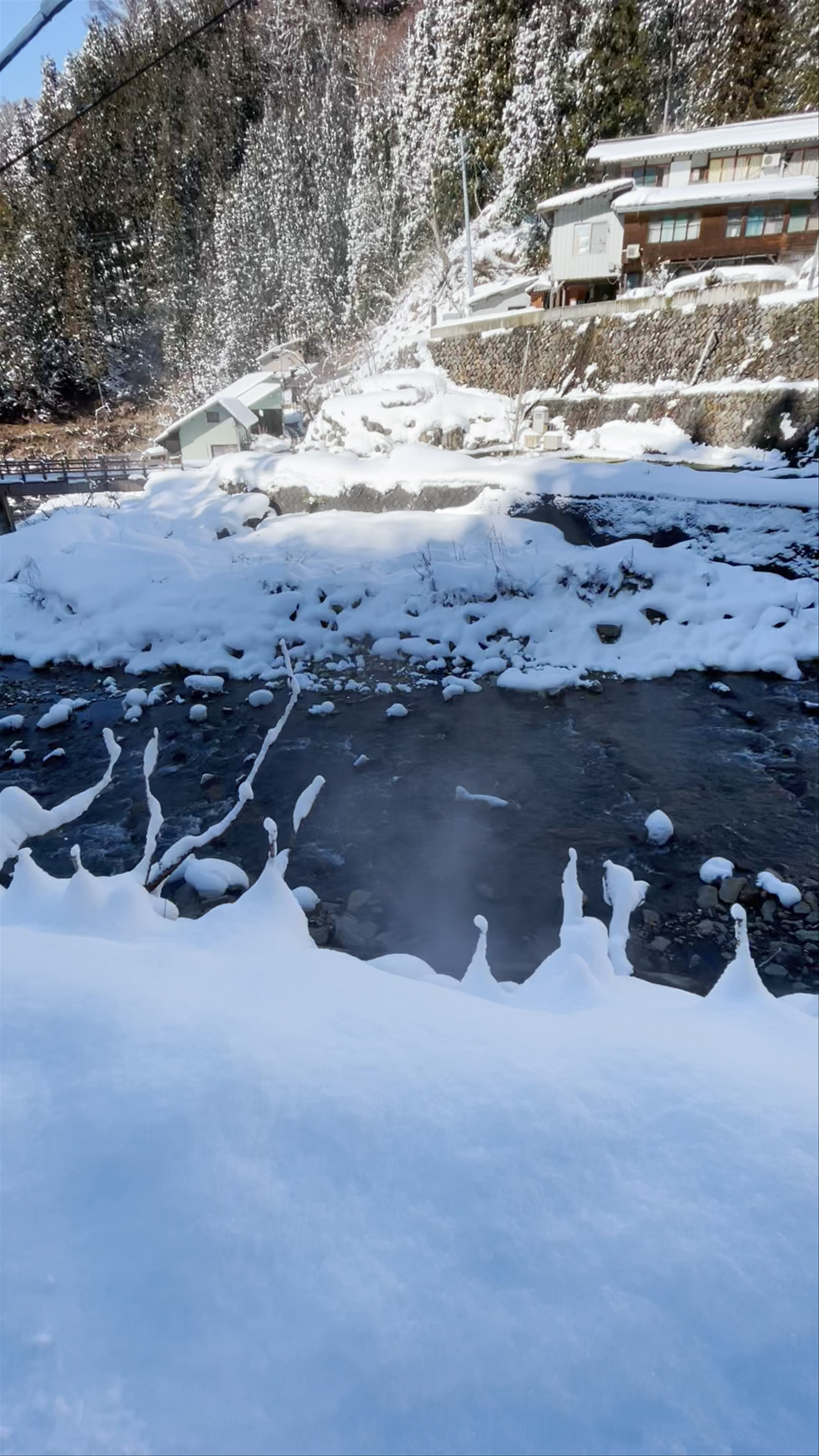 Snow Monkey Park(Jigokudani Yaen Koen)