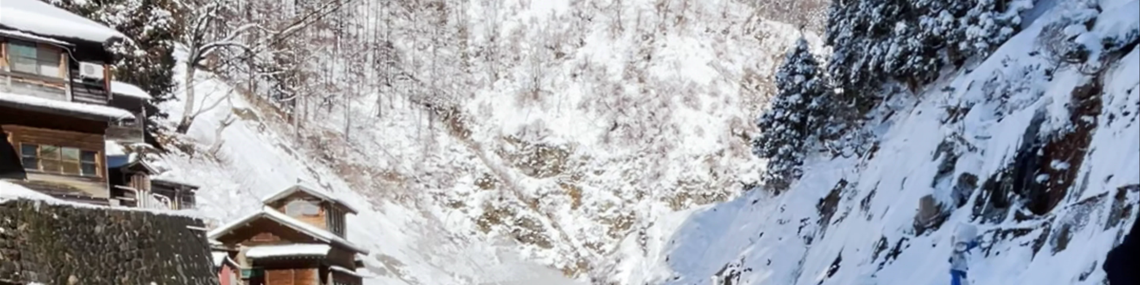 Snow Monkey Park(Jigokudani Yaen Koen)